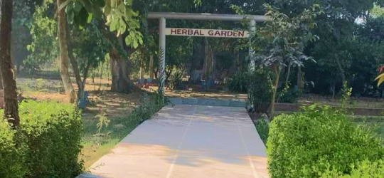 Herbal Garden